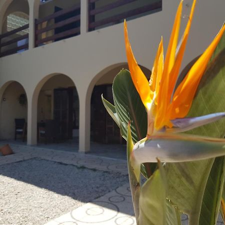 Santo Quintal Hostel Ubatuba Bagian luar foto