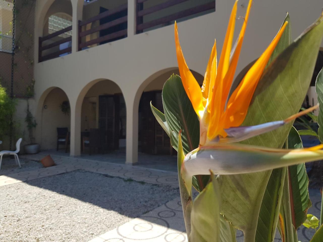 Santo Quintal Hostel Ubatuba Bagian luar foto